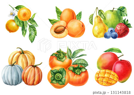Watercolor set of mango persimmon apricot orange pear apple strawberry blueberry and pumpkins healthy seasonal food collection Watercolor set of mango persimmon apricot orange pear apple strawberry blueberry and pumpkins healthy seasonal food collection 131143818