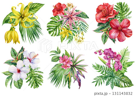 tropical flowers and palm leaves set watercolor painting hibiscus orchid ylang ylang exotic botanical illustration floral 131143832