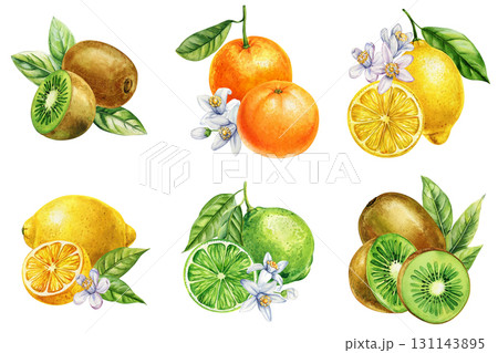 Watercolor set of kiwi lemon lime and orange with blossoms and green leaves tropical citrus fruits healthy food design 131143895