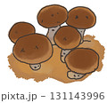 しいたけもりもりなイラスト 131143996