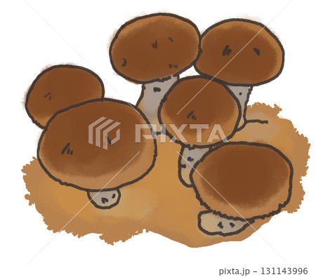 しいたけもりもりなイラスト 131143996