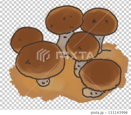 しいたけもりもりなイラスト 131143996