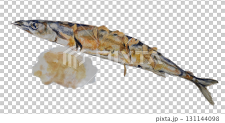 Grilled saury and grated radish illustration 131144098