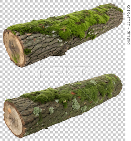 Moss-covered tree trunk isolated on transparent background, lush green growth on bark, woodland ecosystem detail 131145105