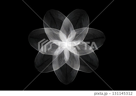 Delve into the world of geometry with stunning parametric flower patterns that create an artistic display of lines and shapes on a dark backdrop Delve into the world of geometry with stunning parametric flower patterns that create an artistic display of lines and shapes on a dark backdrop 131145312
