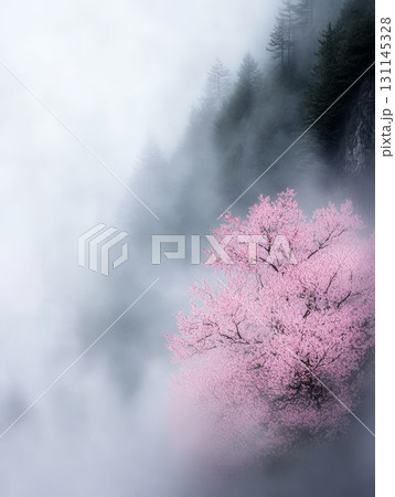 Cherry blossoms open gracefully at their base, surrounded by misty mountains, capturing a serene and peaceful atmosphere 131145328