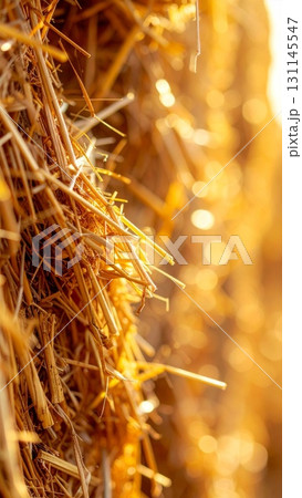 Close Up of Golden Hay Bale in Warm Light on...のイラスト素材 [131145547] - PIXTA