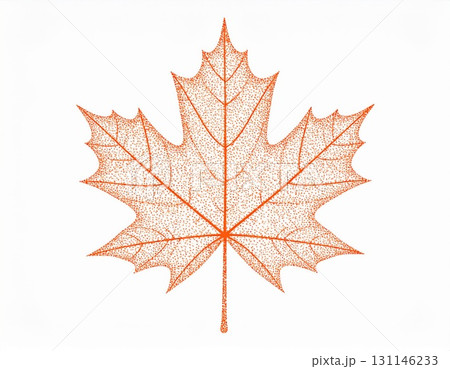 Orange Maple Leaf in Isolated White Background in Detailed Artistic Illustration 131146233