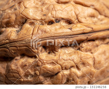 Detailed Macro Shot of a Walnut Shell with Intricate Textures and Grooves in Earth Tone 131146238
