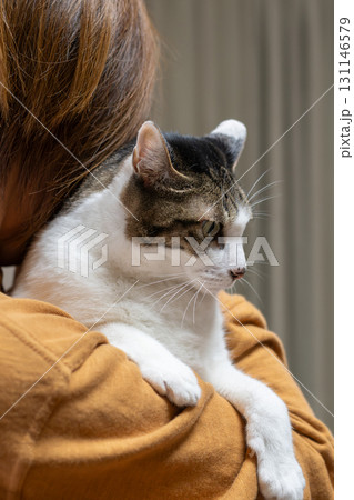 猫を抱きしめる キジトラ猫 猫を抱きしめる キジトラ猫 131146579