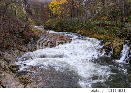 北海道赤井川村、晩秋のライオンの滝【10月】 北海道赤井川村、晩秋のライオンの滝【10月】 131146814