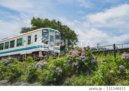 浜松市の天竜浜名湖鉄道の二俣本町駅の風景(静岡県) 浜松市の天竜浜名湖鉄道の二俣本町駅の風景(静岡県) 131146831