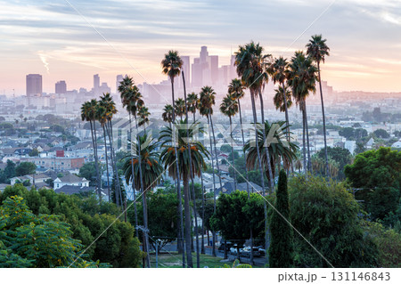 Los Angeles skyline and downtown with palm trees at sunset in California United States 131146843
