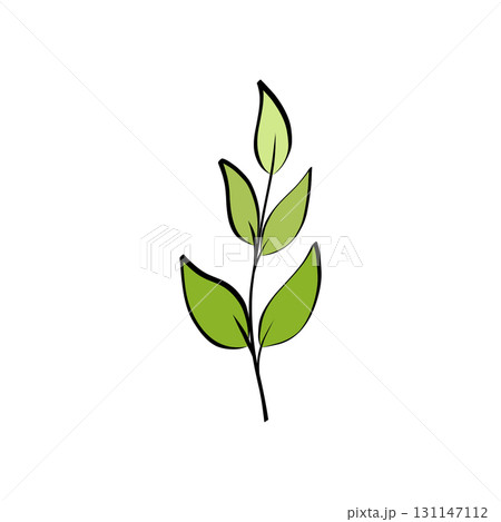 Botanical vector branch with green leaves 131147112