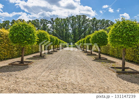 Rundale Palace Gardens, Latvia - Symmetrical Topiary Avenue in Baroque Formal Design Rundale Palace Gardens, Latvia - Symmetrical Topiary Avenue in Baroque Formal Design 131147239