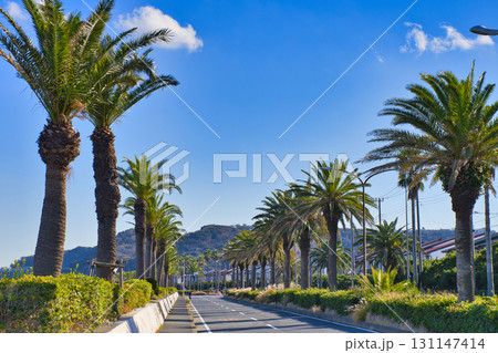 【横須賀市】よこすか海岸通り 131147414