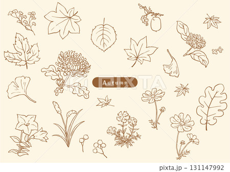 秋の草花のシンプルセピア色スケッチセット 131147992
