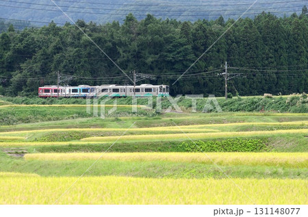 秋の田園風景の中を行く列車 妙高はねうまライン 秋の田園風景の中を行く列車 妙高はねうまライン 131148077