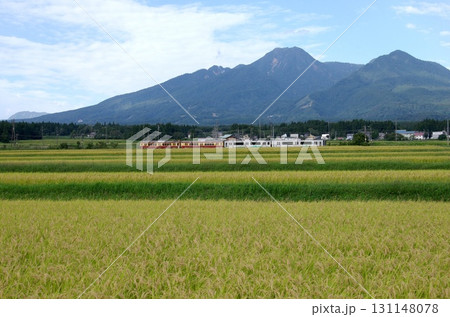 秋の田園風景 妙高山と妙高はねうまラインの列車 秋の田園風景 妙高山と妙高はねうまラインの列車 131148078