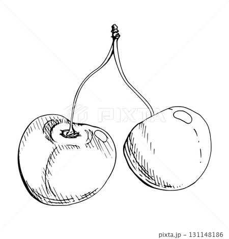 Sweet sour line cherry berries on stems, hand drawn vector ink, scattered ripe cerise drupes. Composition illustration isolated on white. For restaurant, cafe dessert menu, wedding, farmers market Sweet sour line cherry berries on stems, hand drawn vector ink, scattered ripe cerise drupes. Composition illustration isolated on white. For restaurant, cafe dessert menu, wedding, farmers market 131148186