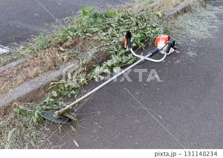 草刈りイメージ 131148234