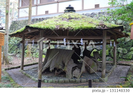衣掛杉(ころもがけのすぎ)（大神神社／奈良県桜井市三輪） 131148330