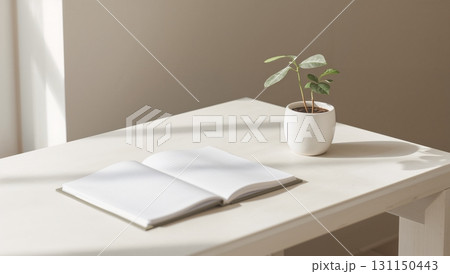 A white desk with a potted plant and an open book 131150443