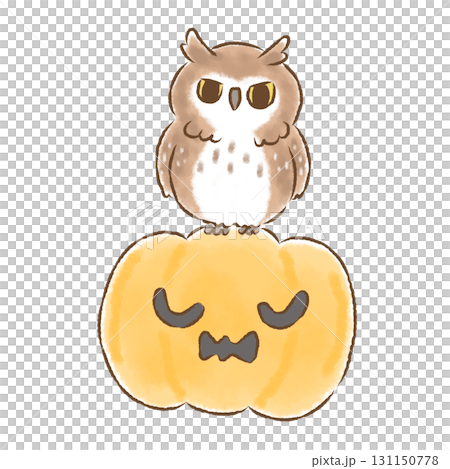 貓頭鷹和南瓜沒有背景 131150778