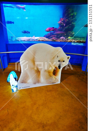 わっかりうむ ノシャップ寒流水族館の風景 わっかりうむ ノシャップ寒流水族館の風景 131151551
