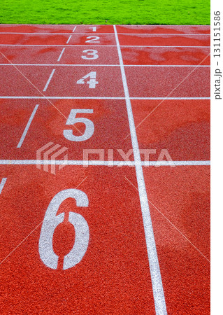 Running track with numbers in the stadium 131151586
