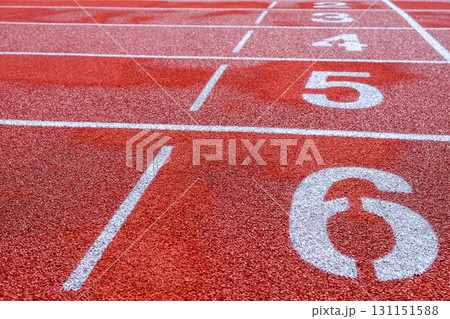 Running track with numbers in the stadium 131151588