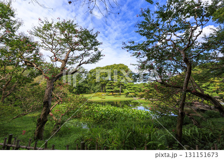 皇居東御苑から見た大手町のビル群 131151673