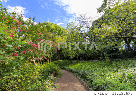 皇居東御苑から見た大手町のビル群 131151676