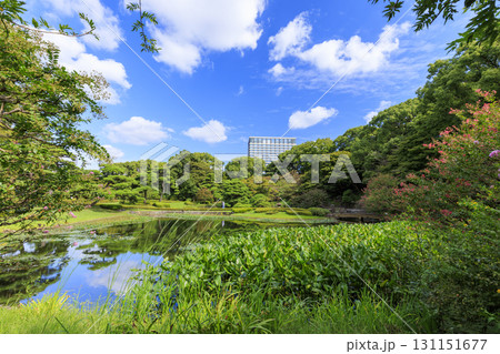 皇居東御苑から見た大手町のビル群 131151677