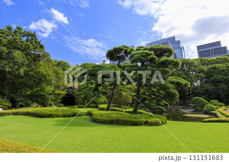 皇居東御苑から見た大手町のビル群 131151683