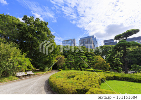 皇居東御苑から見た大手町のビル群 131151684
