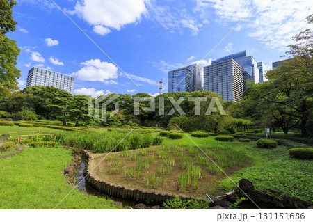 皇居東御苑から見た大手町のビル群 131151686