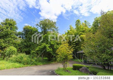 皇居東御苑から見た大手町のビル群 皇居東御苑から見た大手町のビル群 131151688
