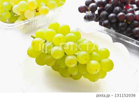 ハニービーナス 131152036