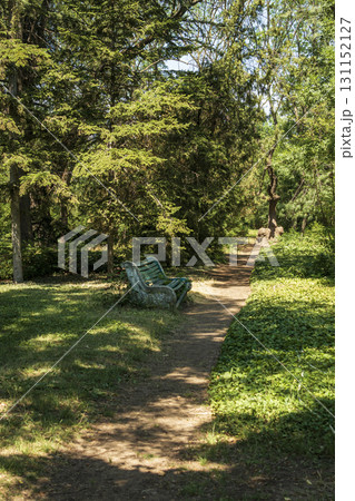 forest path in the park and a bench near the path forest path in the park and a bench near the path 131152127
