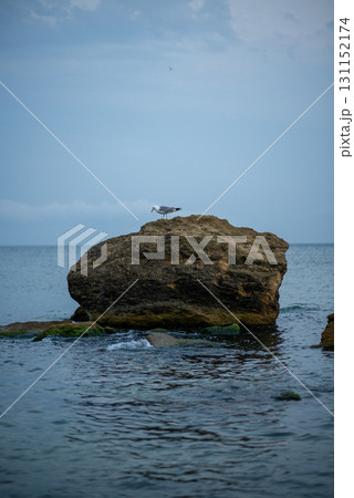 A close up of a rock, The rock juts out of the sea 131152174