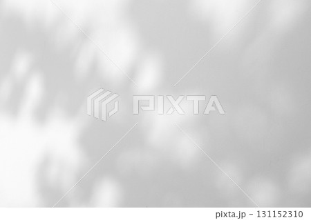 Abstract natural tree leaves shadow on white wall background Abstract natural tree leaves shadow on white wall background 131152310