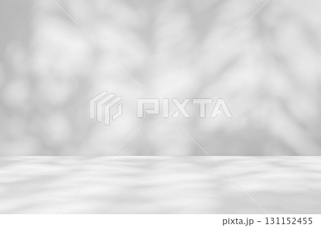 Abstract white studio room with light and shadow from tree leaves background for product display presentation 131152455