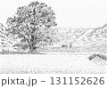 田んぼの中にあるクスノキ 131152626