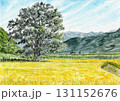 黄金色の田んぼとクスノキ 131152676
