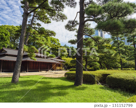 皇居東御苑から見た大手町のビル群 131152799