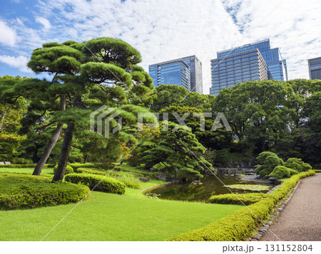 皇居東御苑から見た大手町のビル群 131152804