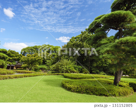 皇居東御苑から見た大手町のビル群 131152805