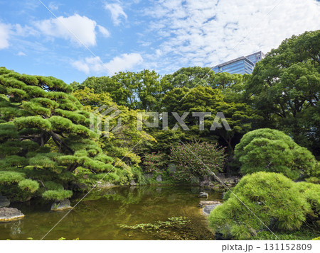 皇居東御苑から見た大手町のビル群 131152809