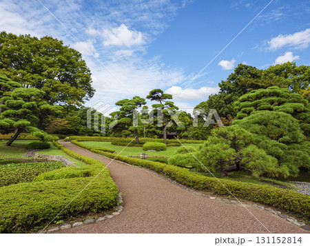 皇居東御苑から見た大手町のビル群 131152814